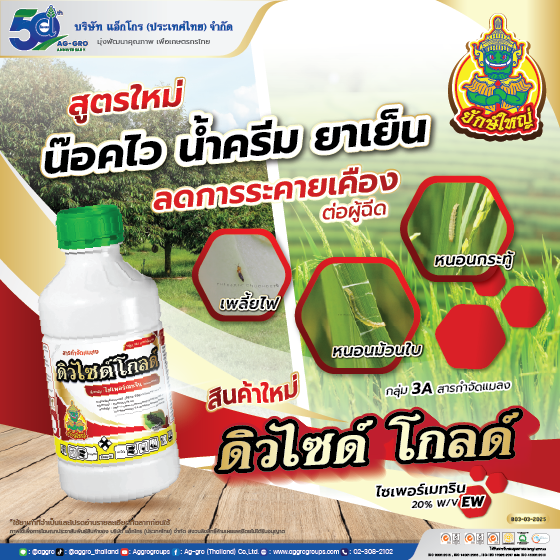 ดิวไซด์